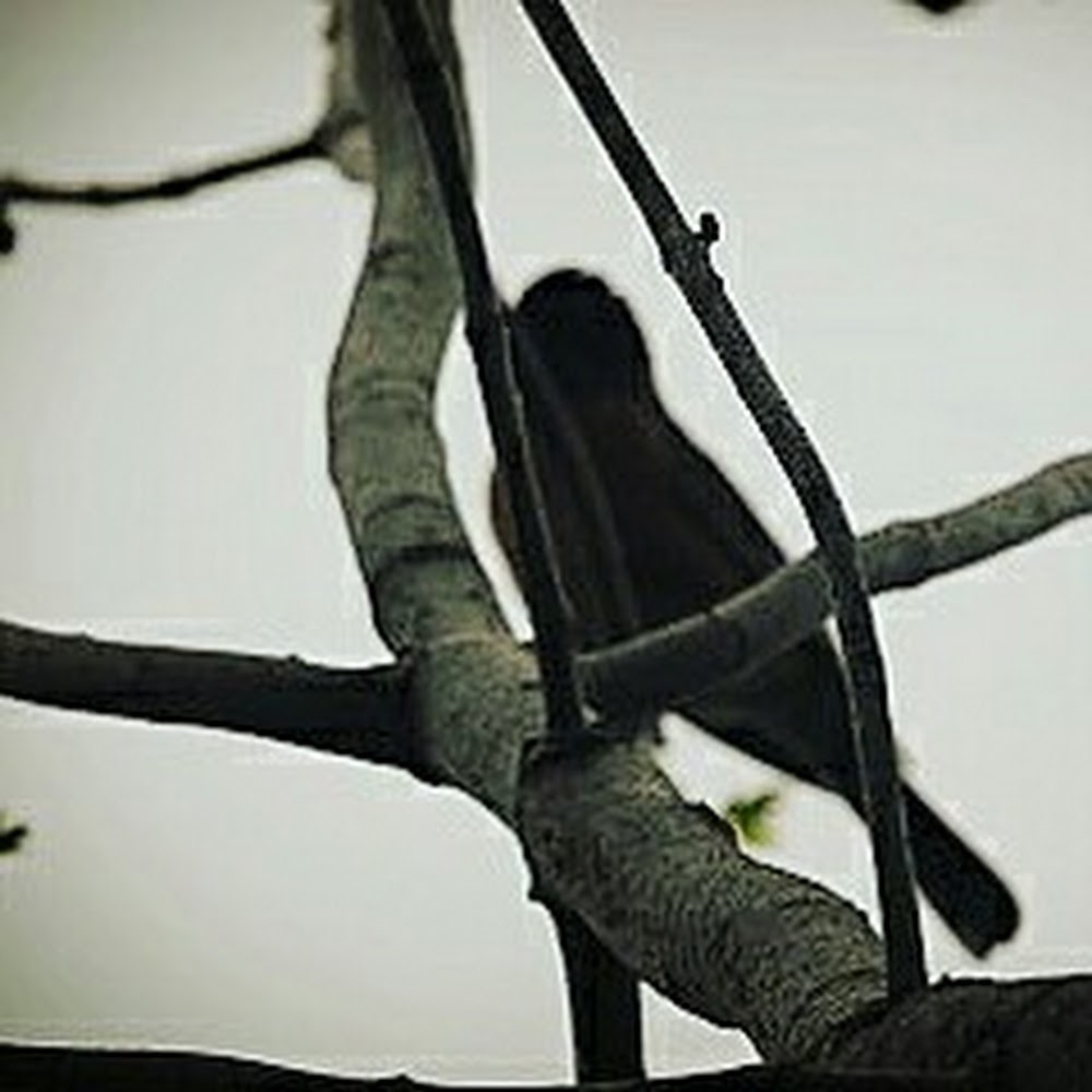 Meet your Posher, Lucius